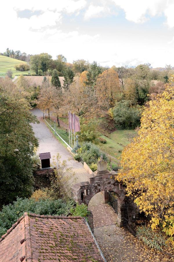 Eventlocation & Hotel Schloss Neuburg Obrigheim Eksteriør bilde