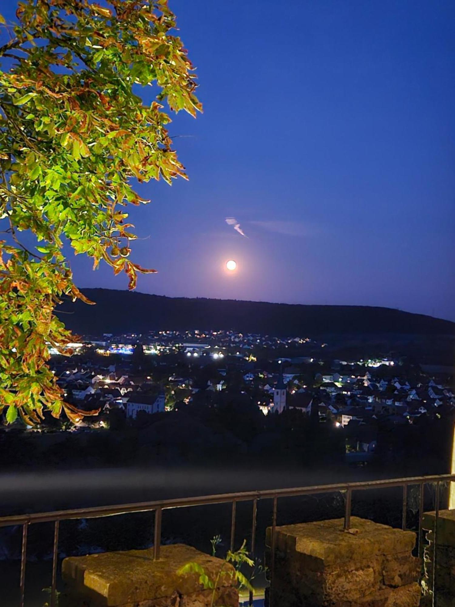 Eventlocation & Hotel Schloss Neuburg Obrigheim Eksteriør bilde